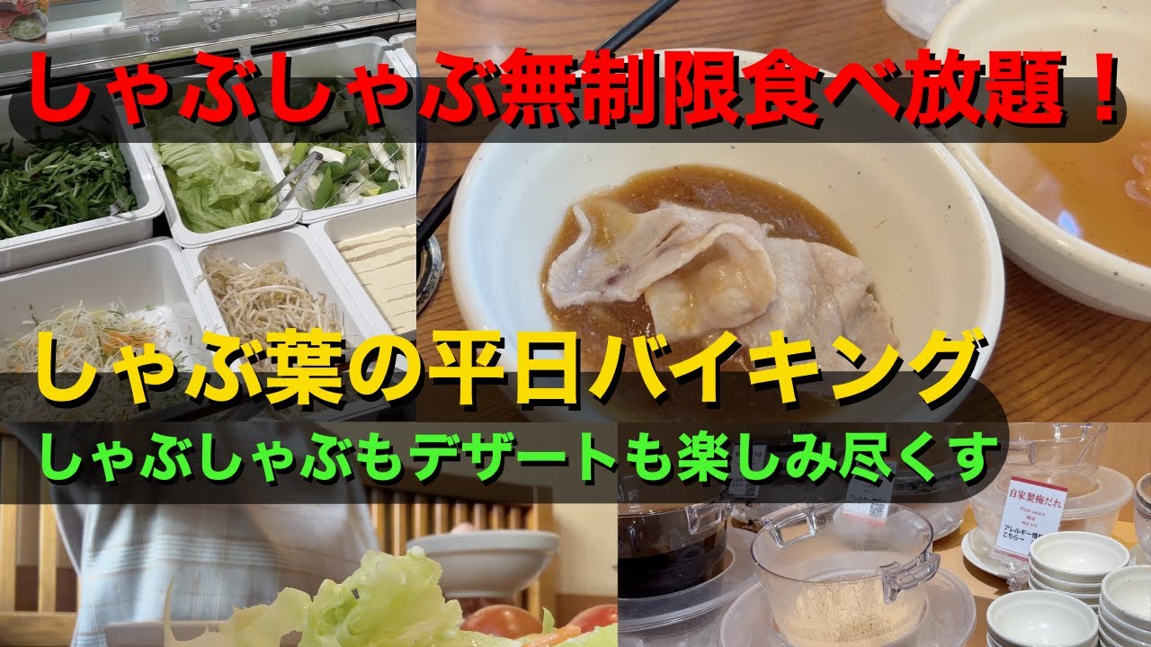 【女1人ご飯】しゃぶ葉平日ランチ時間無制限食べ放題/しゃぶしゃぶもデザートも食べ尽くす（税込1,539円〜）詳細は概要欄にあります