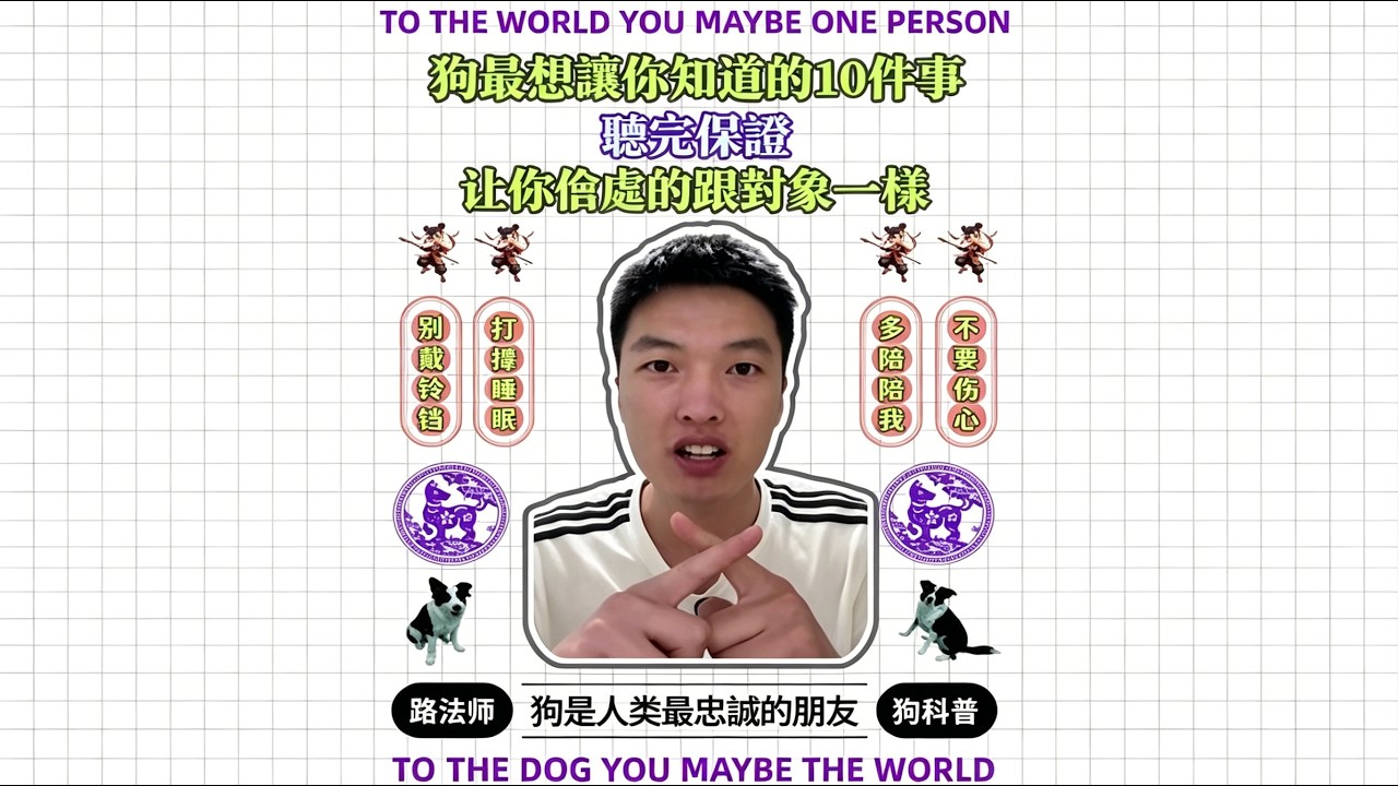 狗最想讓你知道的10件事#pets #狗狗 #dog #寵物友善日常 #animals #youtube #fyp