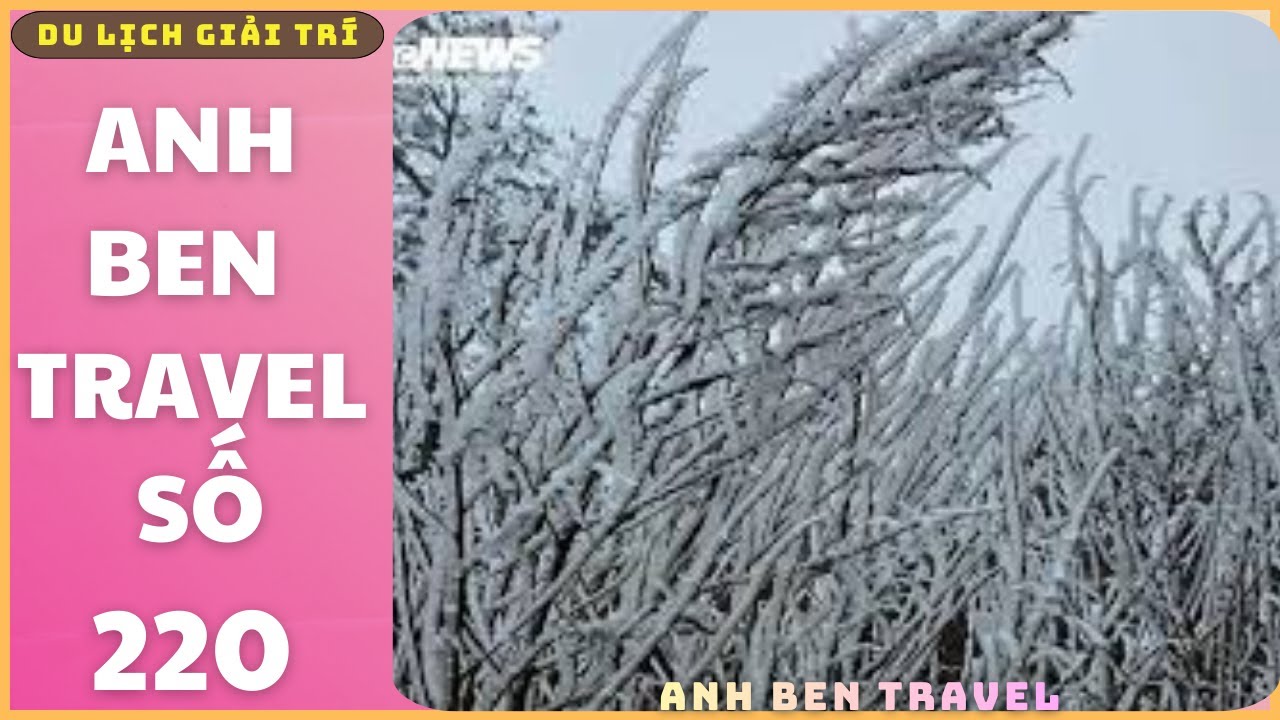 Anh Ben Travel Số 220 - Ngắm Băng Tuyết Bao Phủ, Khiến Rừng Cây Trắng Xóa Trong Giá Lạnh -5 độ C