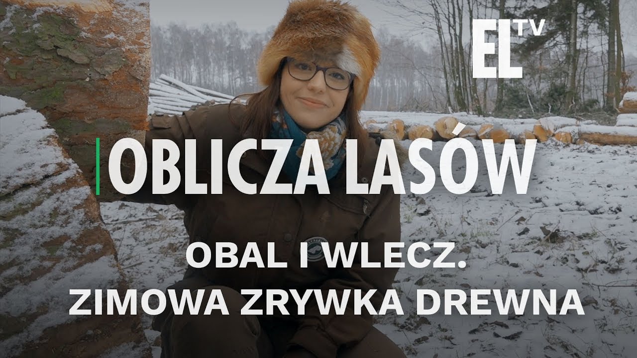 Obal i wlecz. Zimowa zrywka drewna | Oblicza las&oacute;w #71