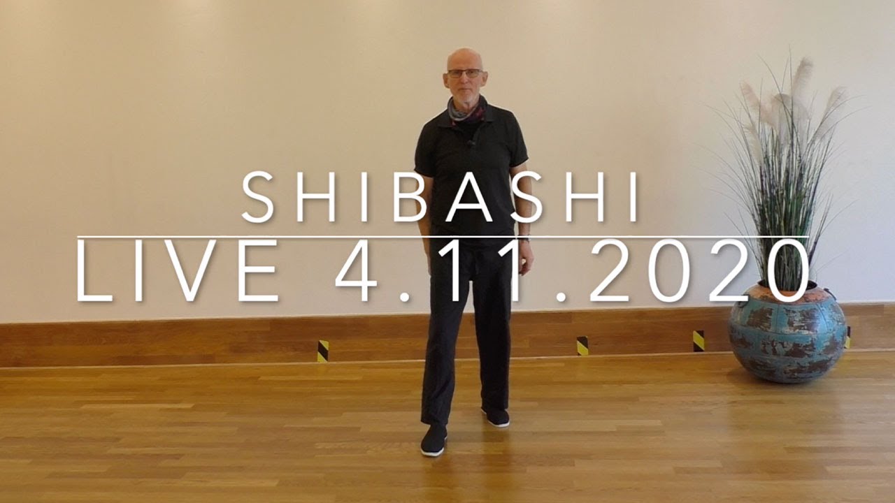 Shibashi Live Unterricht vom 4.11.2020