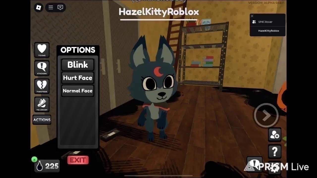 Hazel in live!