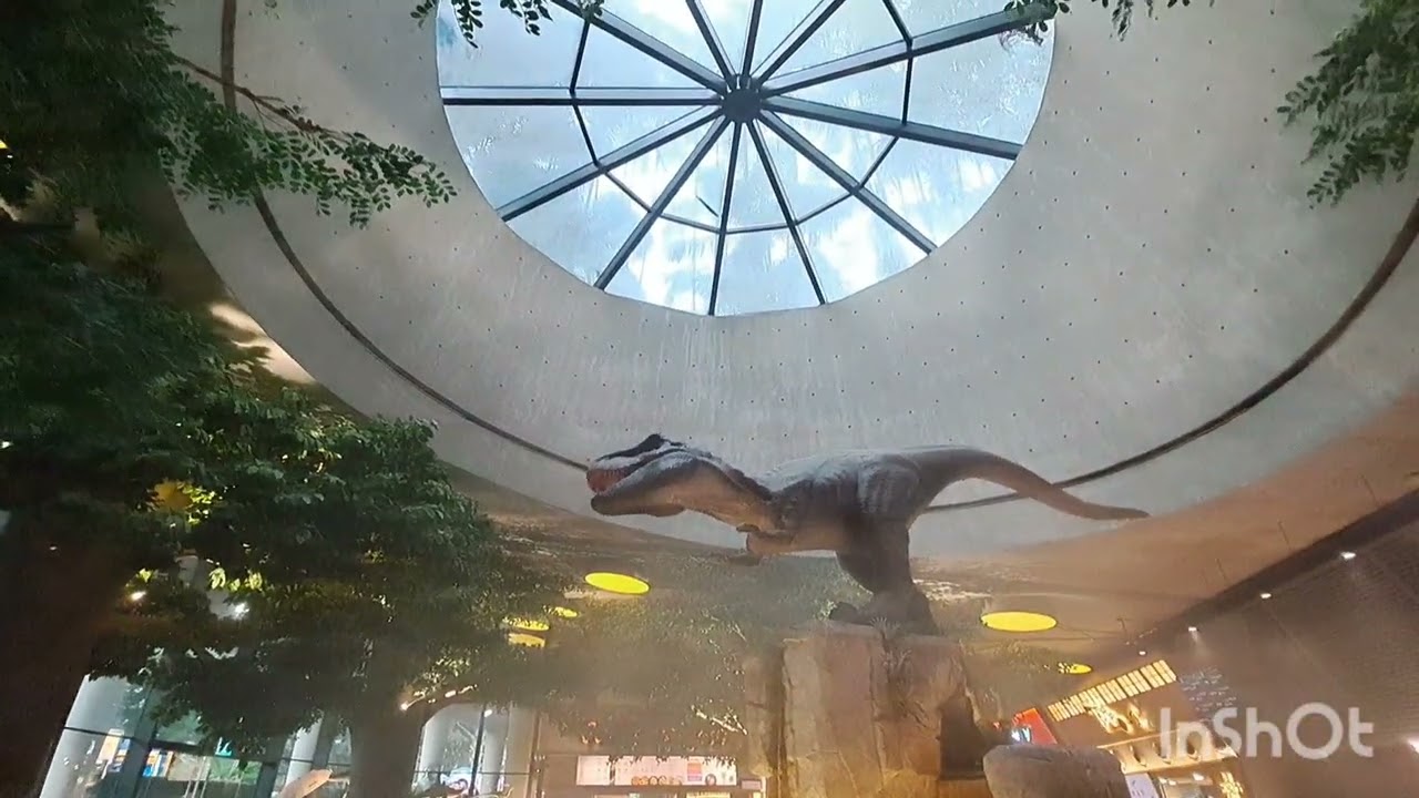 Cloud forest flower dome and christmas wonderland singapore
