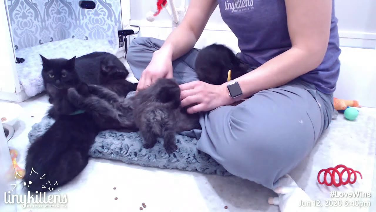 Shelly chats with Frieda about life