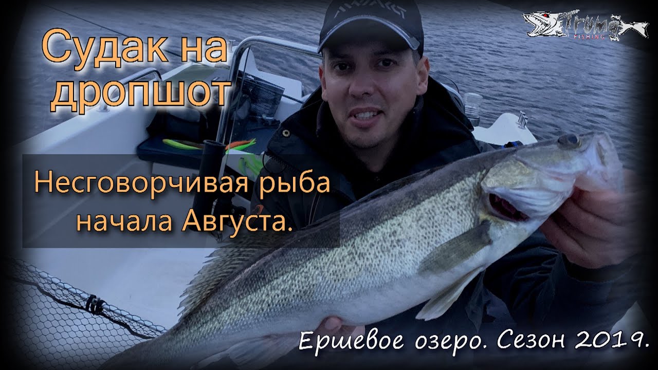 Судак на дропшот. Несговорчивая рыба начала Августа.