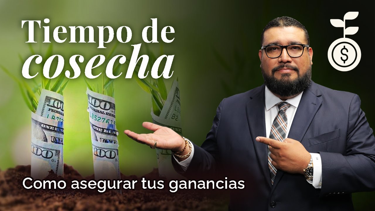 Tiempo de cosecha | Como asegurar tus ganancias