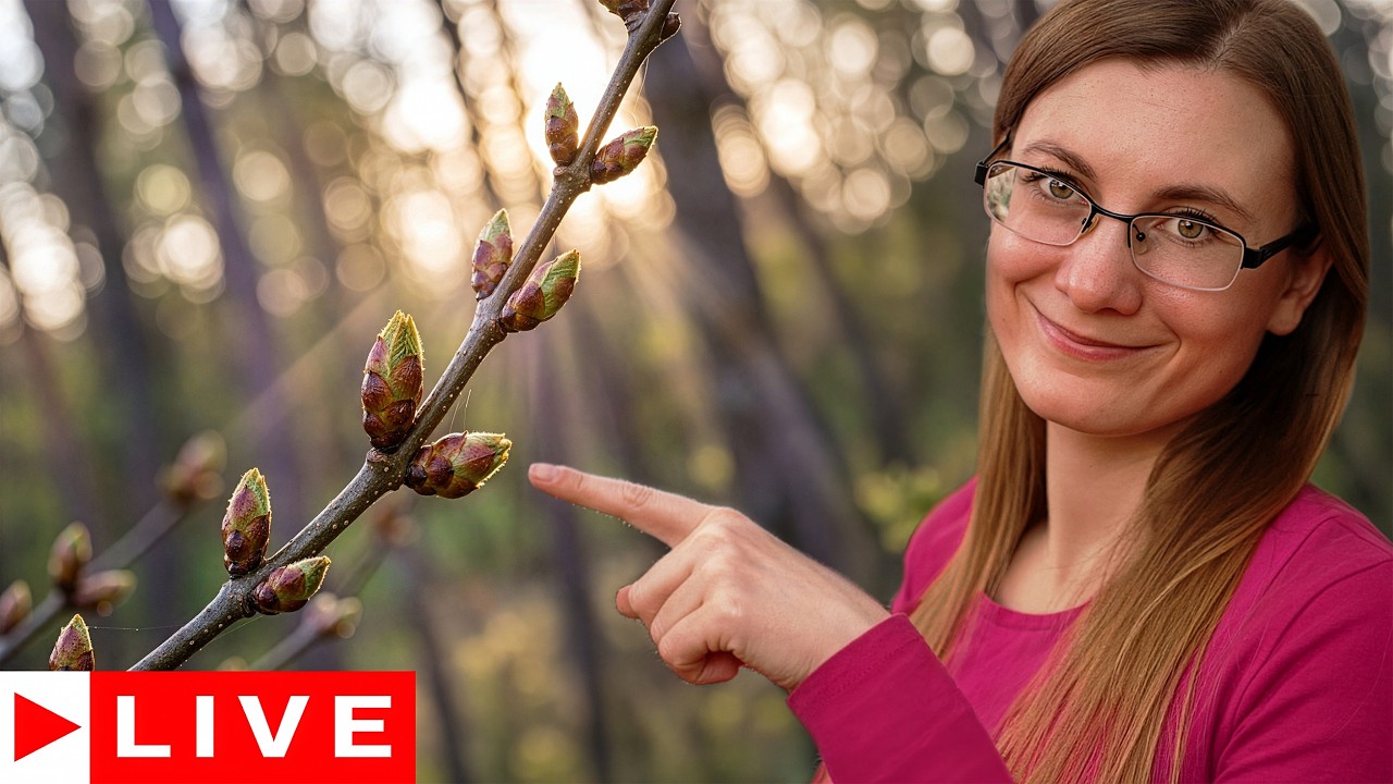 Co Kryją Wiosenne Pączki? Dzikie Zbiory i Spacer NA ŻYWO