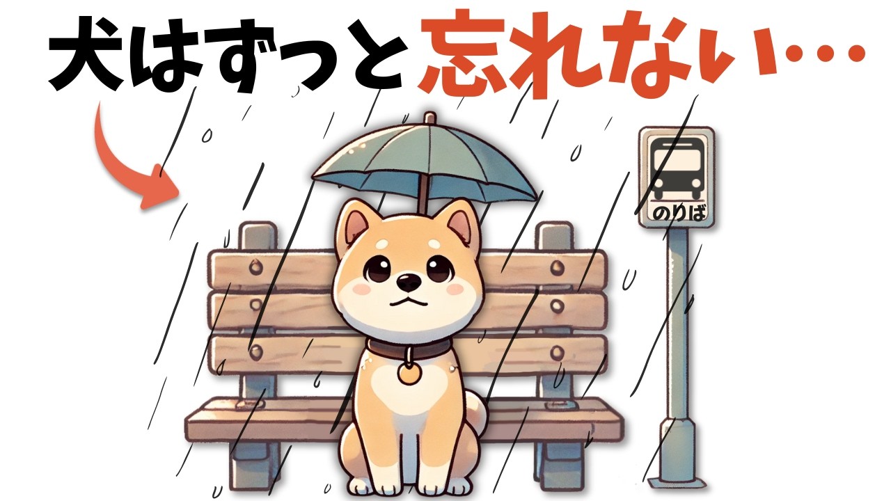犬が絶対に忘れない7つのこと｜愛犬の記憶のヒミツ