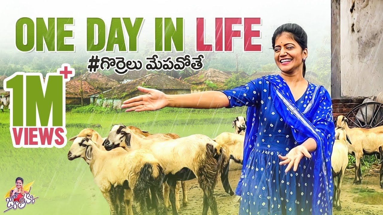One Day In Life || Sheep farming || Shiva Jyothi || Jyothakka