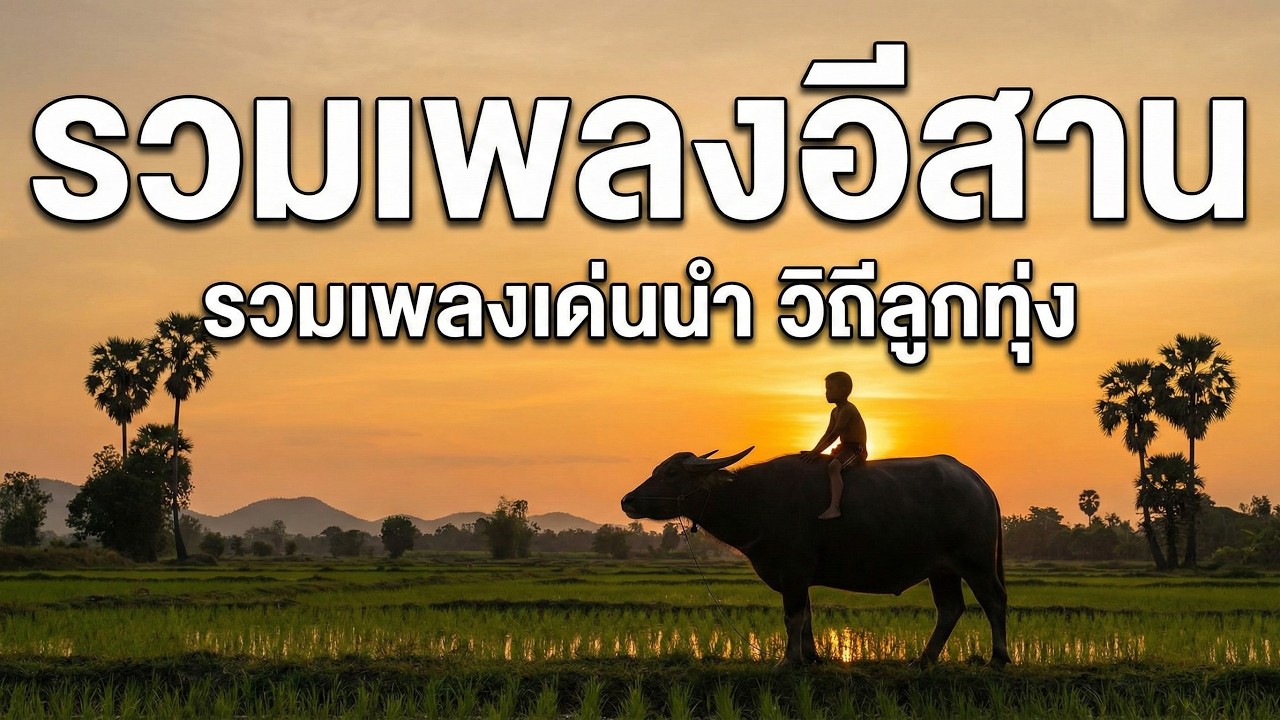 รวมเพลงอีสาน วิถีลูกทุ่ง