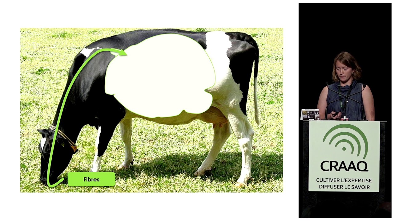 Les acides gras du lait nous parlent : comment décoder leurs messages?