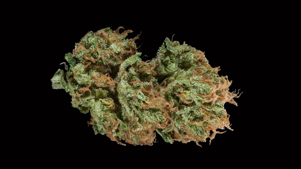 2015 HIGH TIMES SoCal Medical Cannabis Cup: CBD Entries