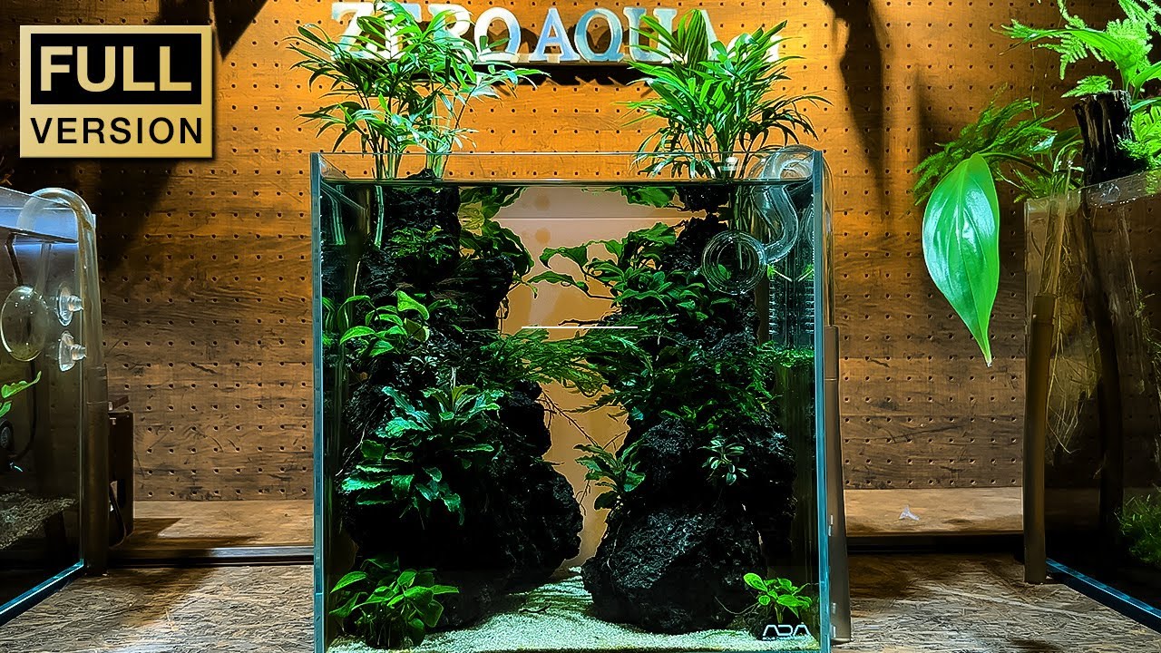 そびえる溶岩石と陰性水草で作る30cm水槽の全工程とその後【アクアリウム】