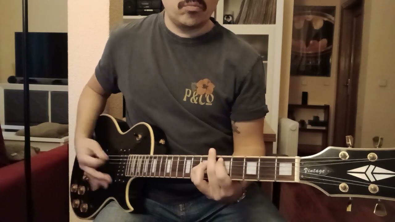 D-A-D - Sleeping My Day Away (guitar cover)