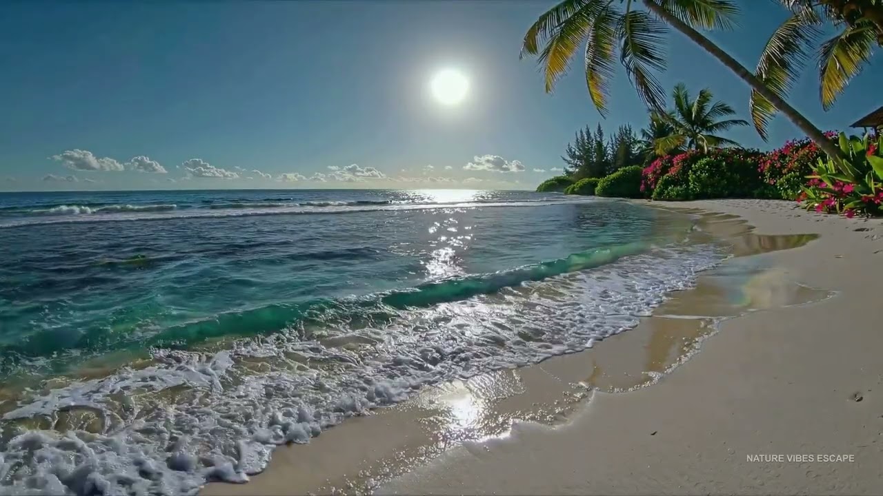 Focus 🎯 Barbados West Coast Caribbean Sea Vibe Ocean Sounds | Sleep &bull; Study | 12h &bull; 4K | 🌴🌊