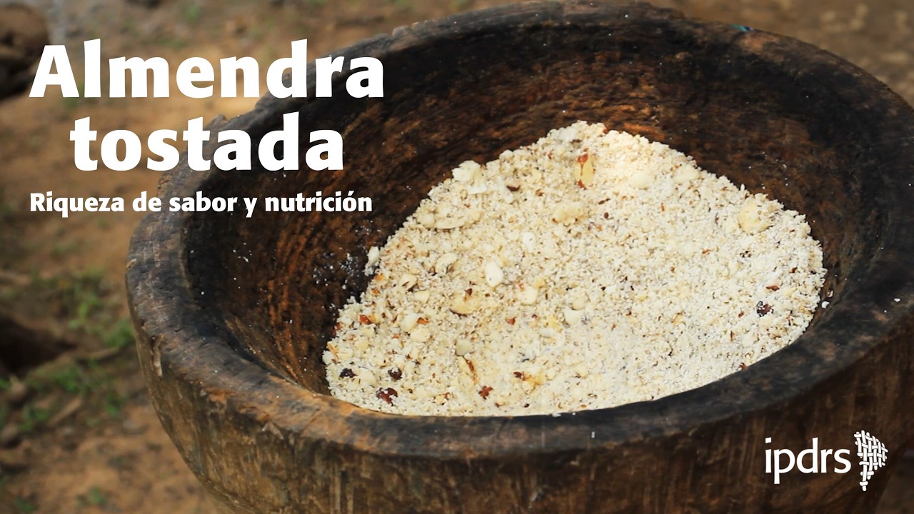 🍌🍲  Almendra Tostada: riqueza de sabor y nutrición | Gastronomía Amazónica