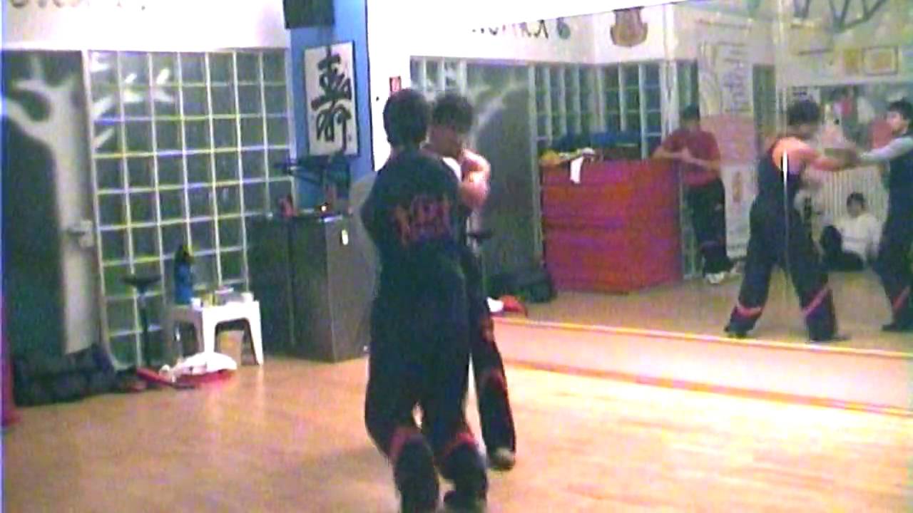 Training with Master Emin Boztepe / Oliver from Ip Man Wing Tsun
