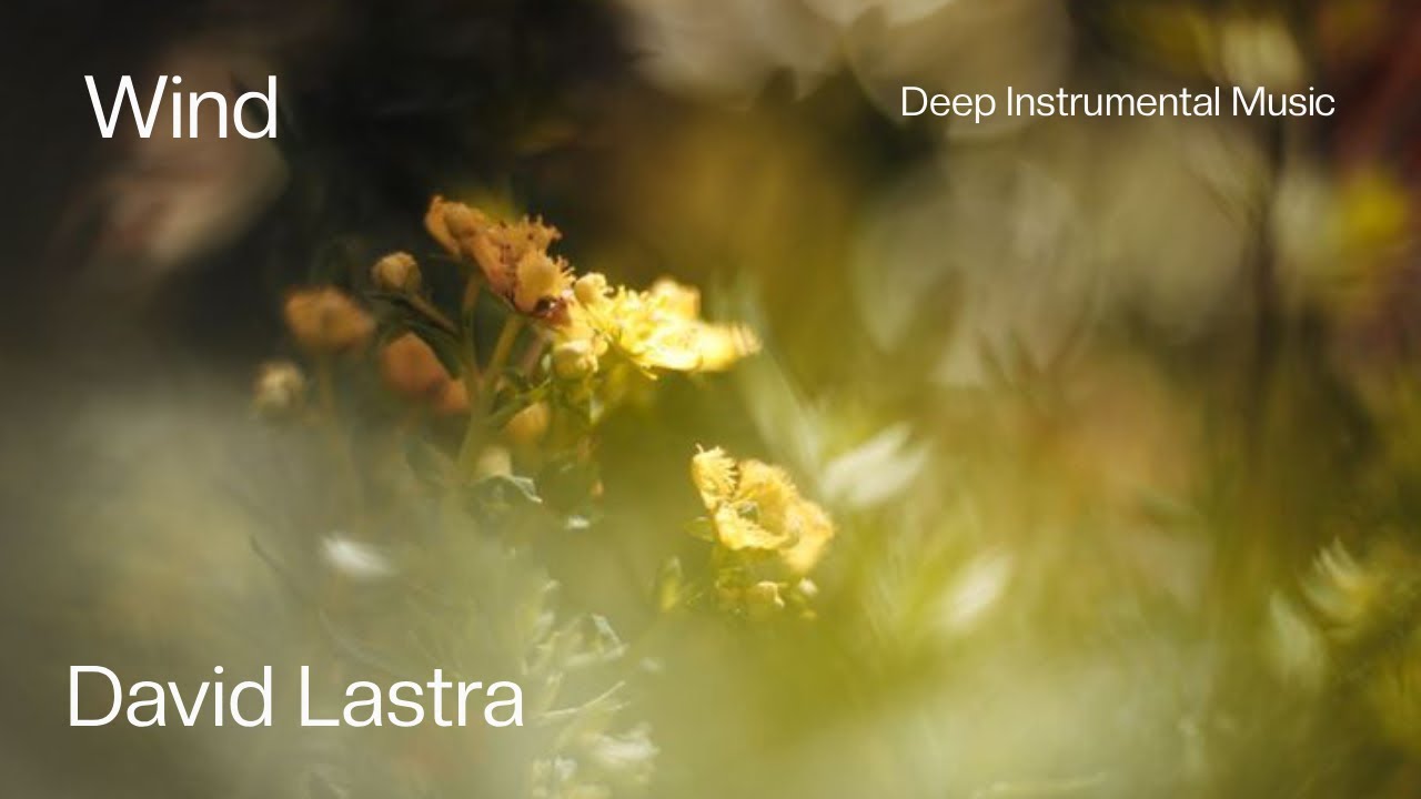 Wild - Instrumental Worship Music