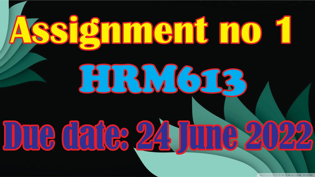 HRM613  Assignment no 1 2022| Vu practical help