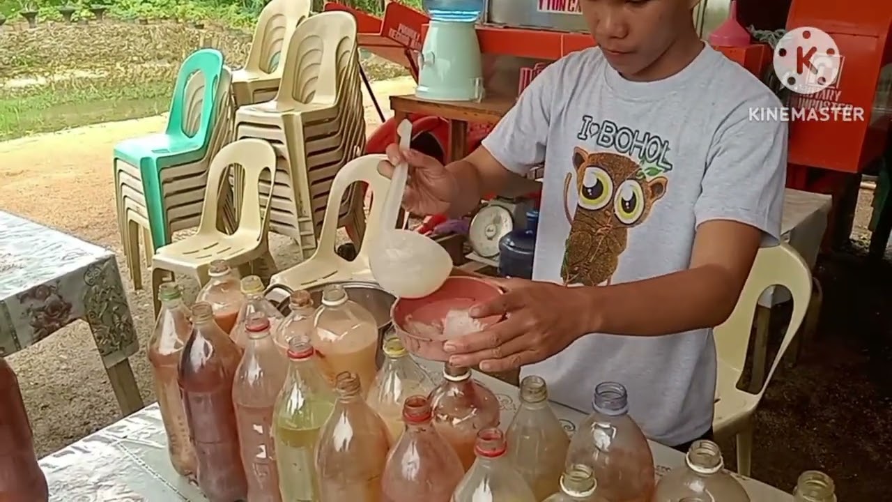 How to Make Simple Biofertilizer the Rhodopseudomonas palustris