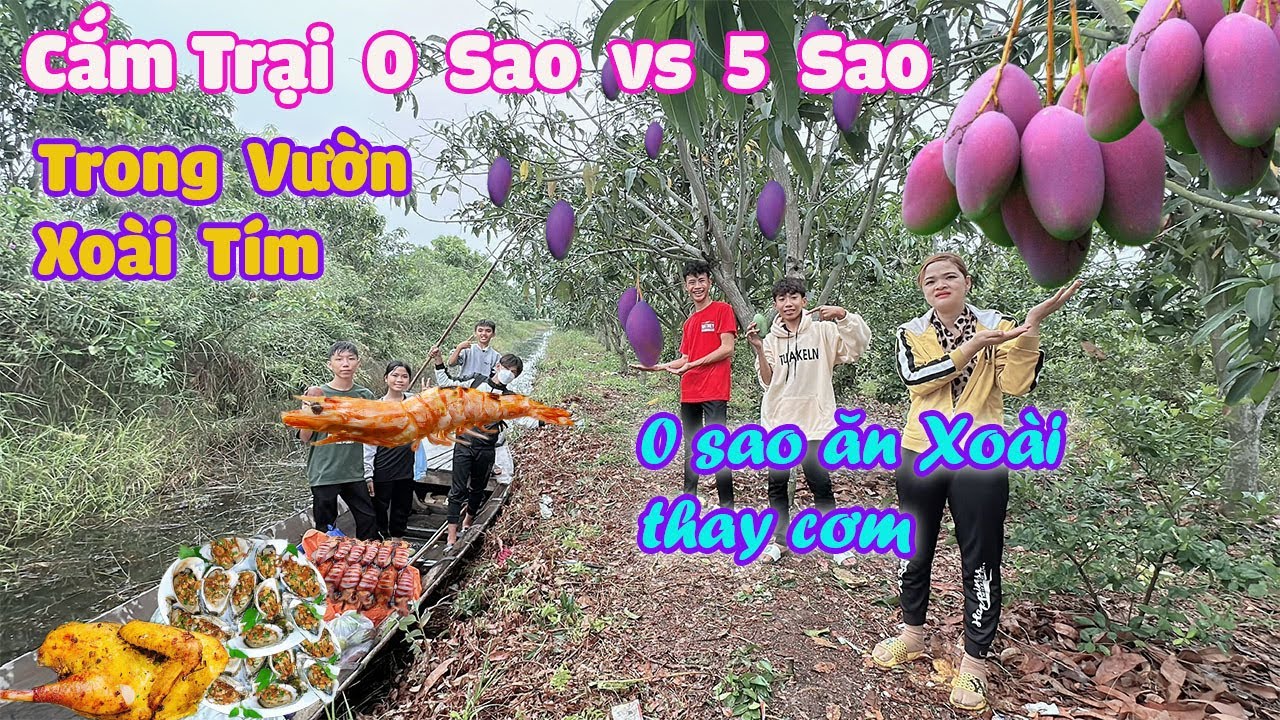 Cắm Trại 0 Sao Vs 5 Sao Trong Vườn Xoài Tím