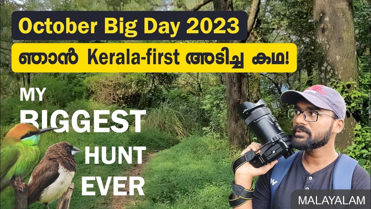 ഒറ്റയടിക്ക് എല്ലാ കിളികളെയും പൊക്കി! | October Big Day | Birding | Malayalam | Vlogoskie e12