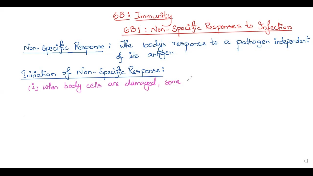 Lecture 42