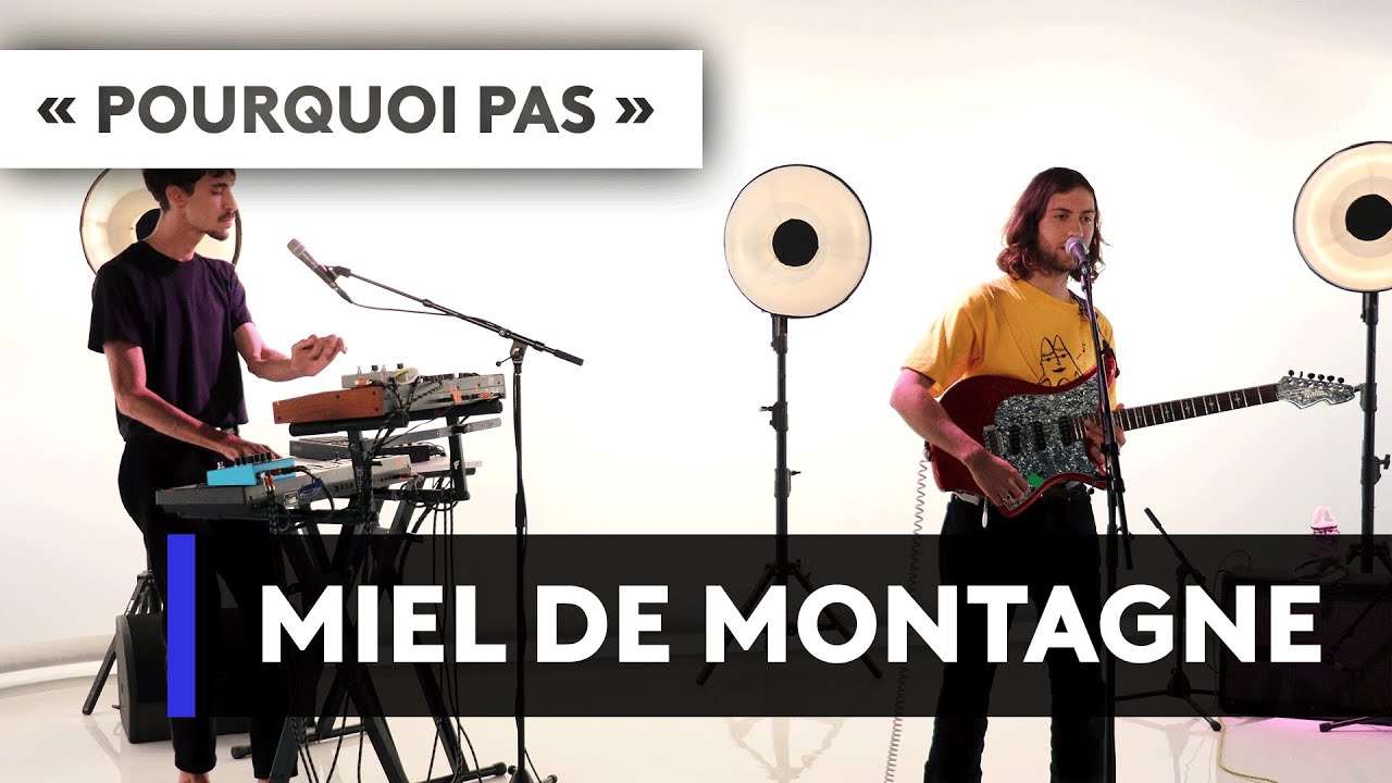 MIEL DE MONTAGNE - 