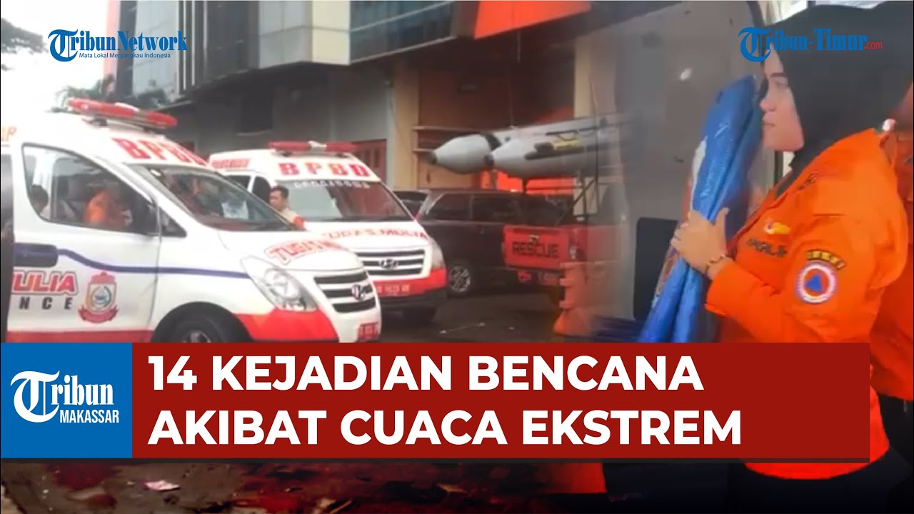 Pohon Tumbang hingga Rumah Rusak, BPBD Makassar Lakukan Penanganan Darurat