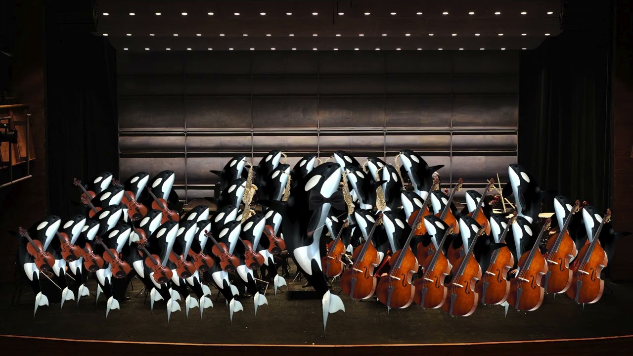 Orca Ochestra