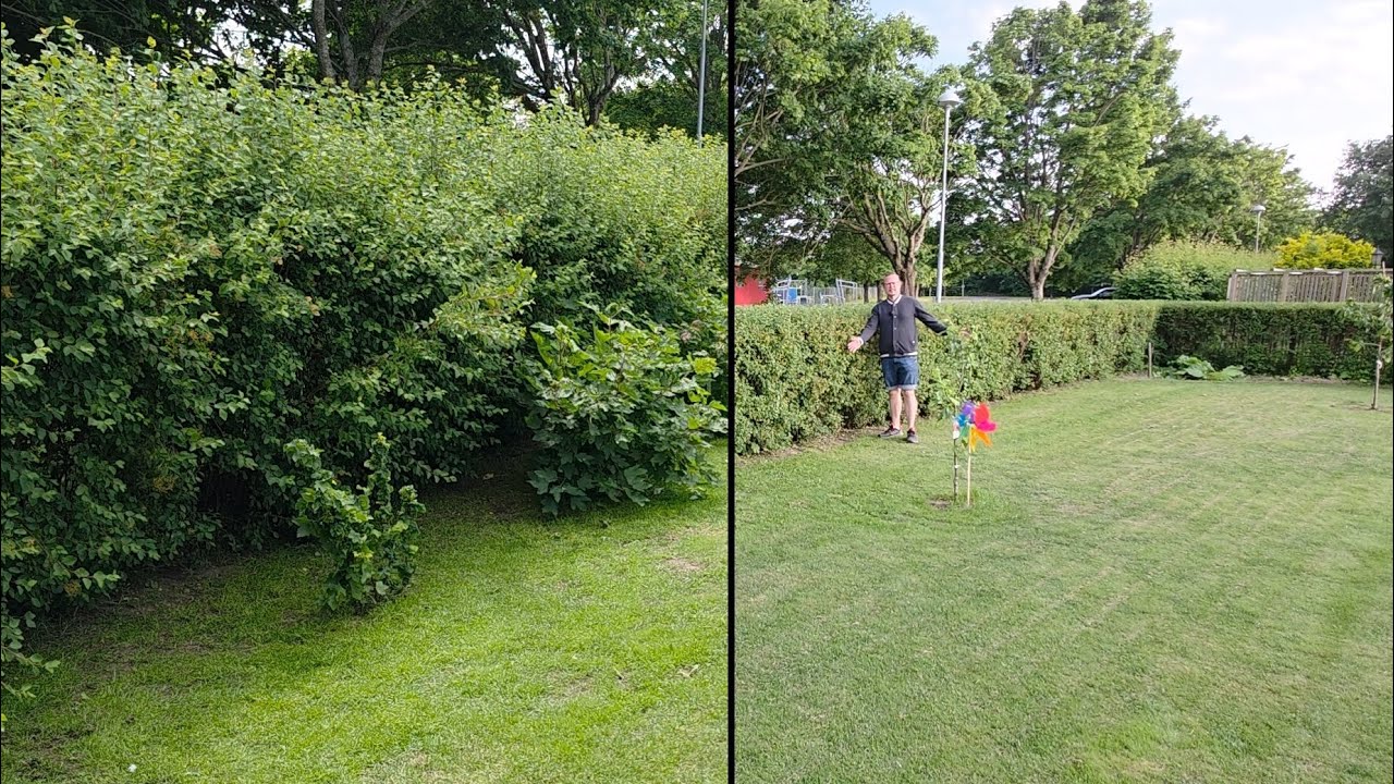 Hedge Trimming Time! Clean Edges and a Fresh Look