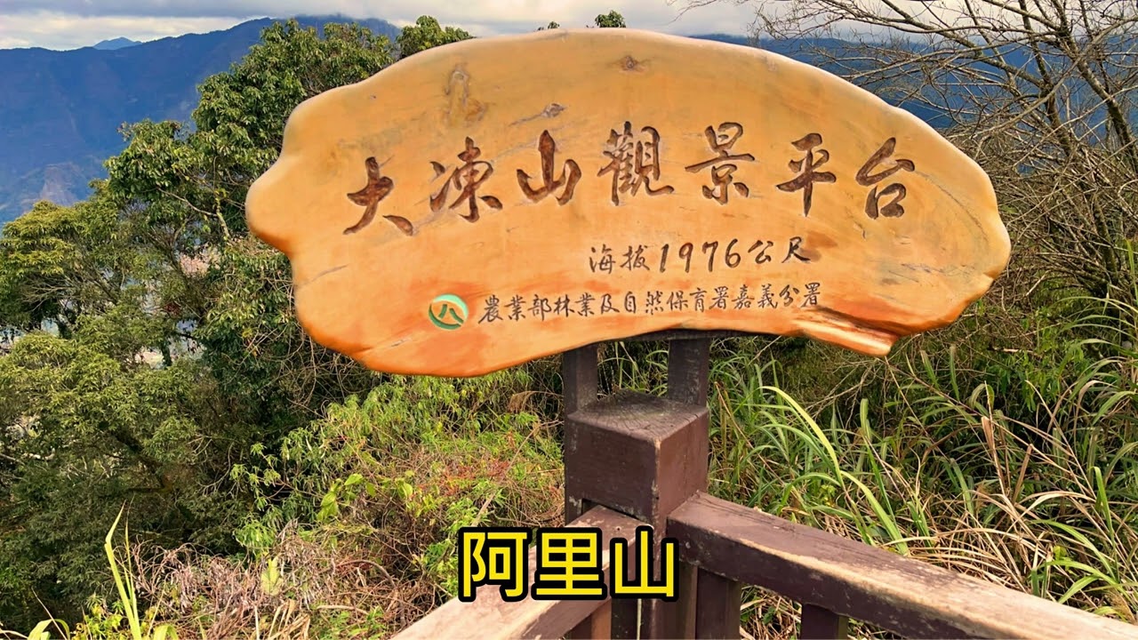 年後清境 阿里山走走