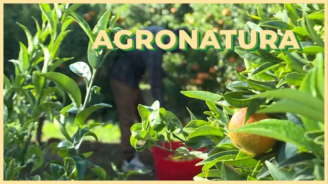 2026/03 /13  - Agronatura