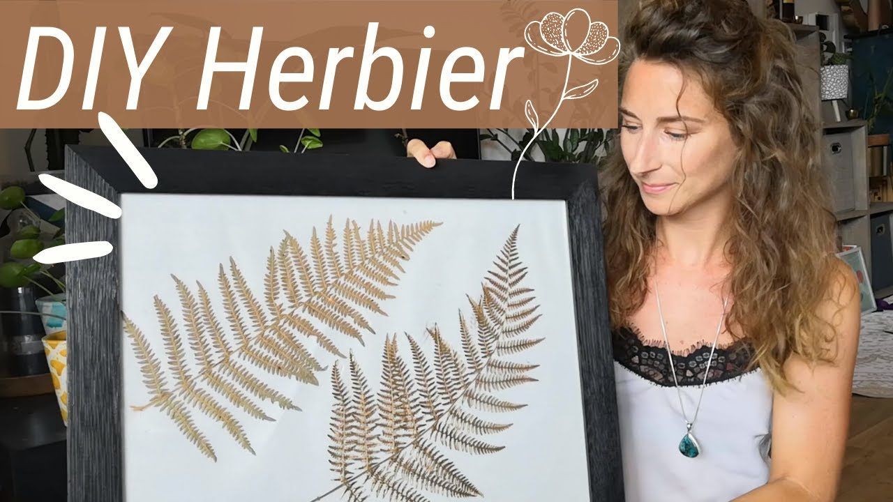 Comment faire un HERBIER ? On fait ça ensemble !