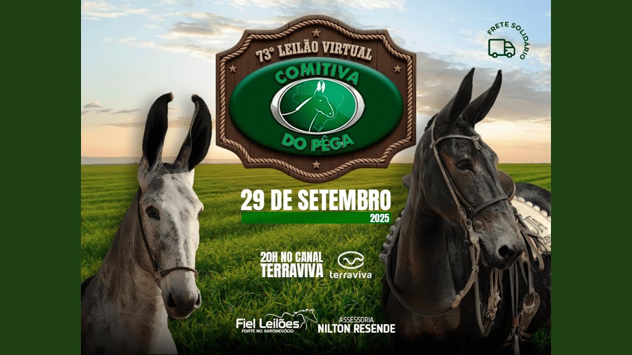 73&ordm; LEIL&Atilde;O VIRTUAL COMITIVA DO P&Ecirc;GA | 29/09/2025 &ndash; 20H