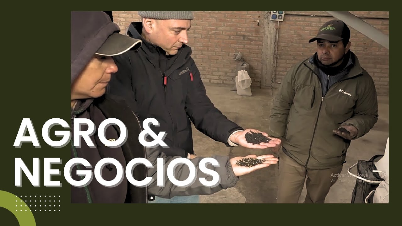 28 septiembre 2025