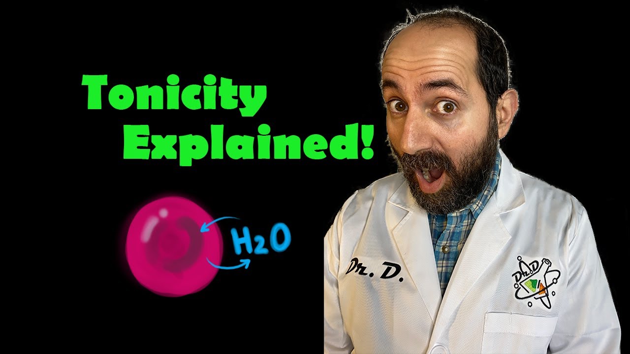 TONICITY EXPLAINED! Animal and plant cells in hyper- hypo- and iso- tonic environments!