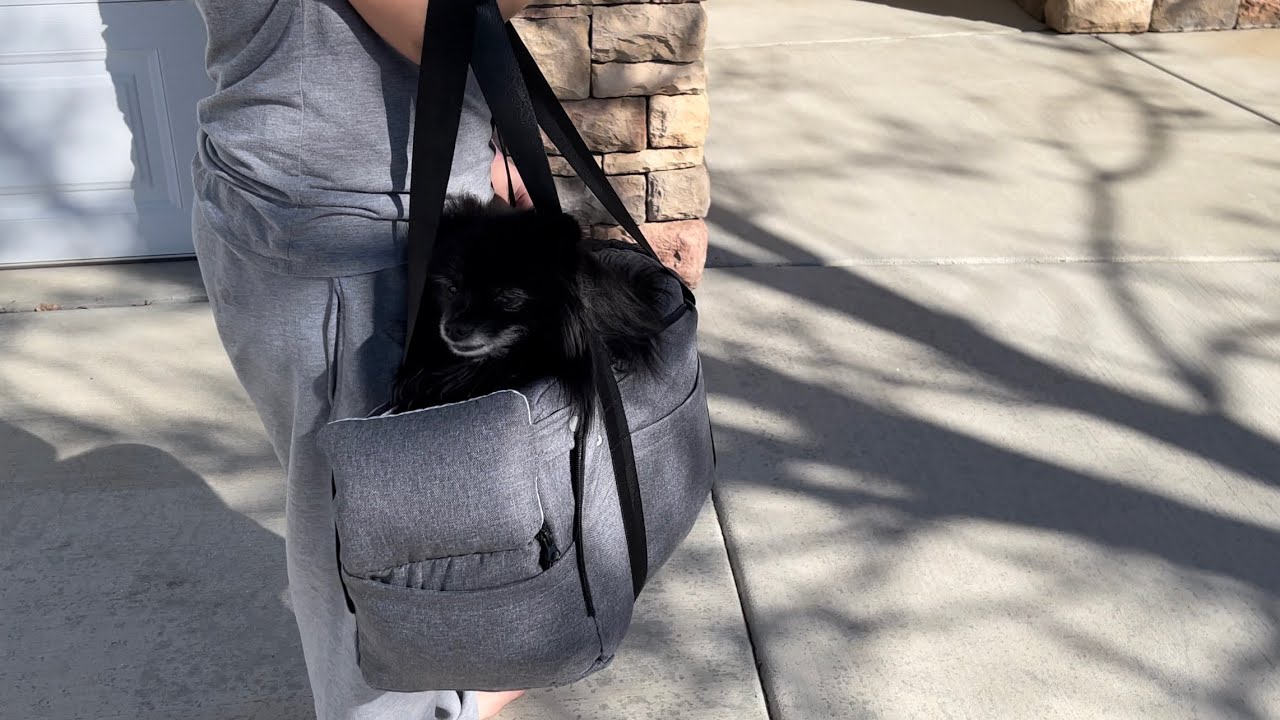 Cathpetic Dog Car Seat Pet Supplies Amazon Review
