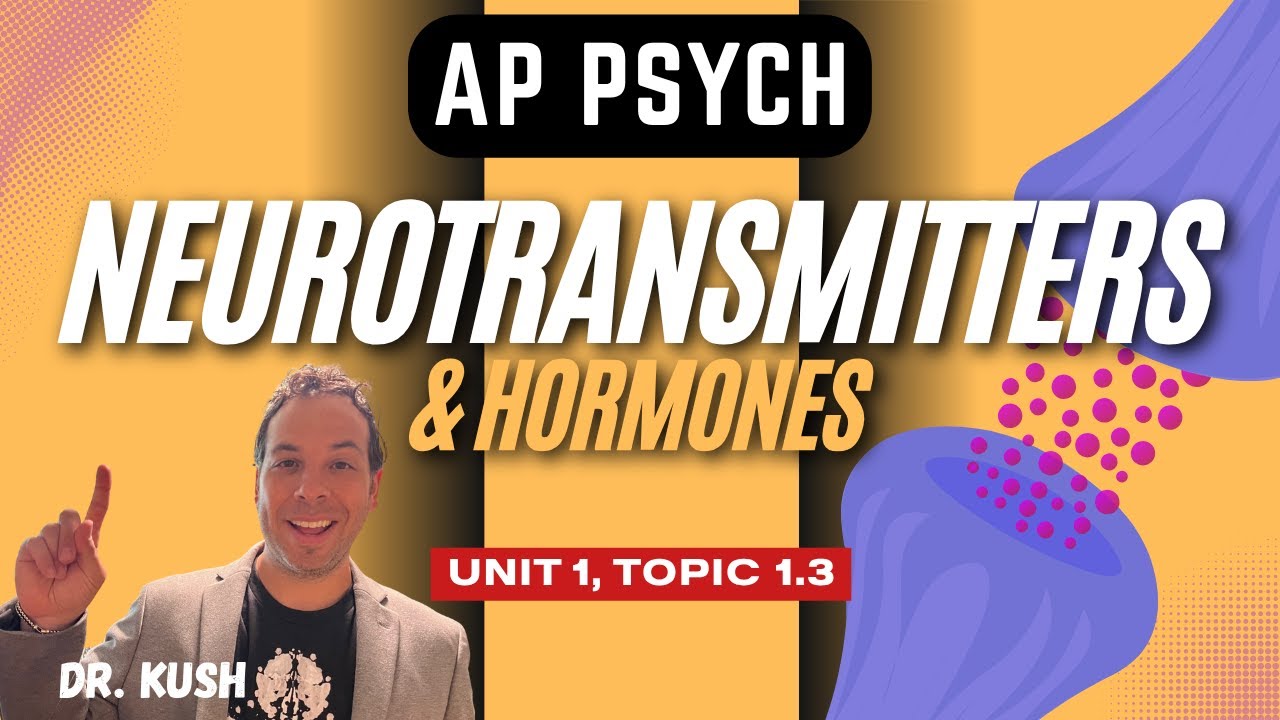 Neurotransmitters I Hormones I AP Psychology I Unit 1, Topic 1.3