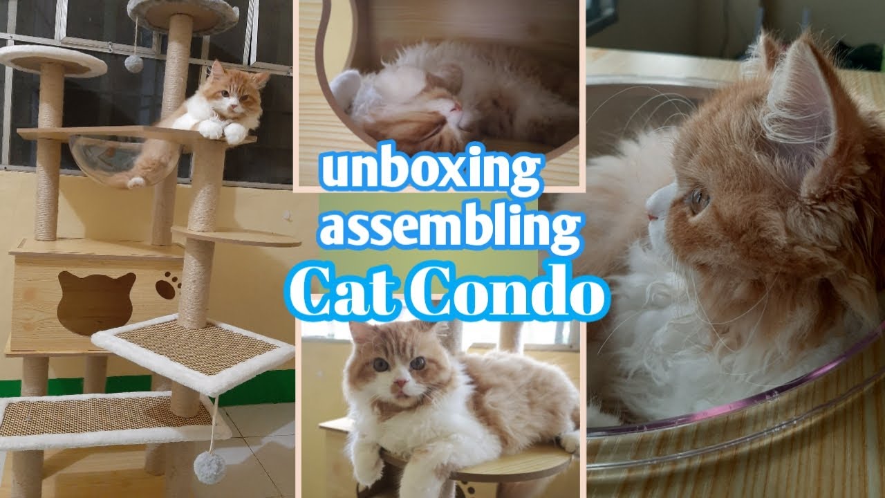 Cat Condo from Shopee || Philippines