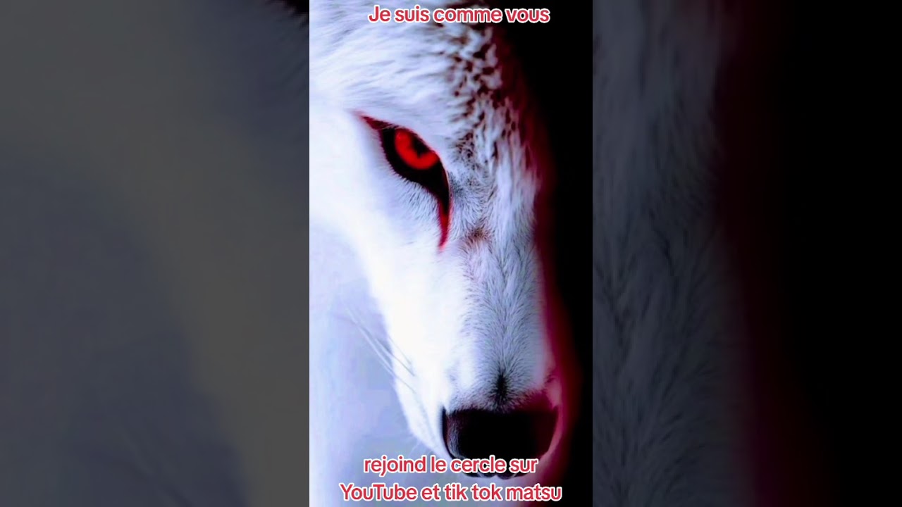 Je suis comme vous (officiel) #rap #france #quebec #rapfrancais #rapquebecois 