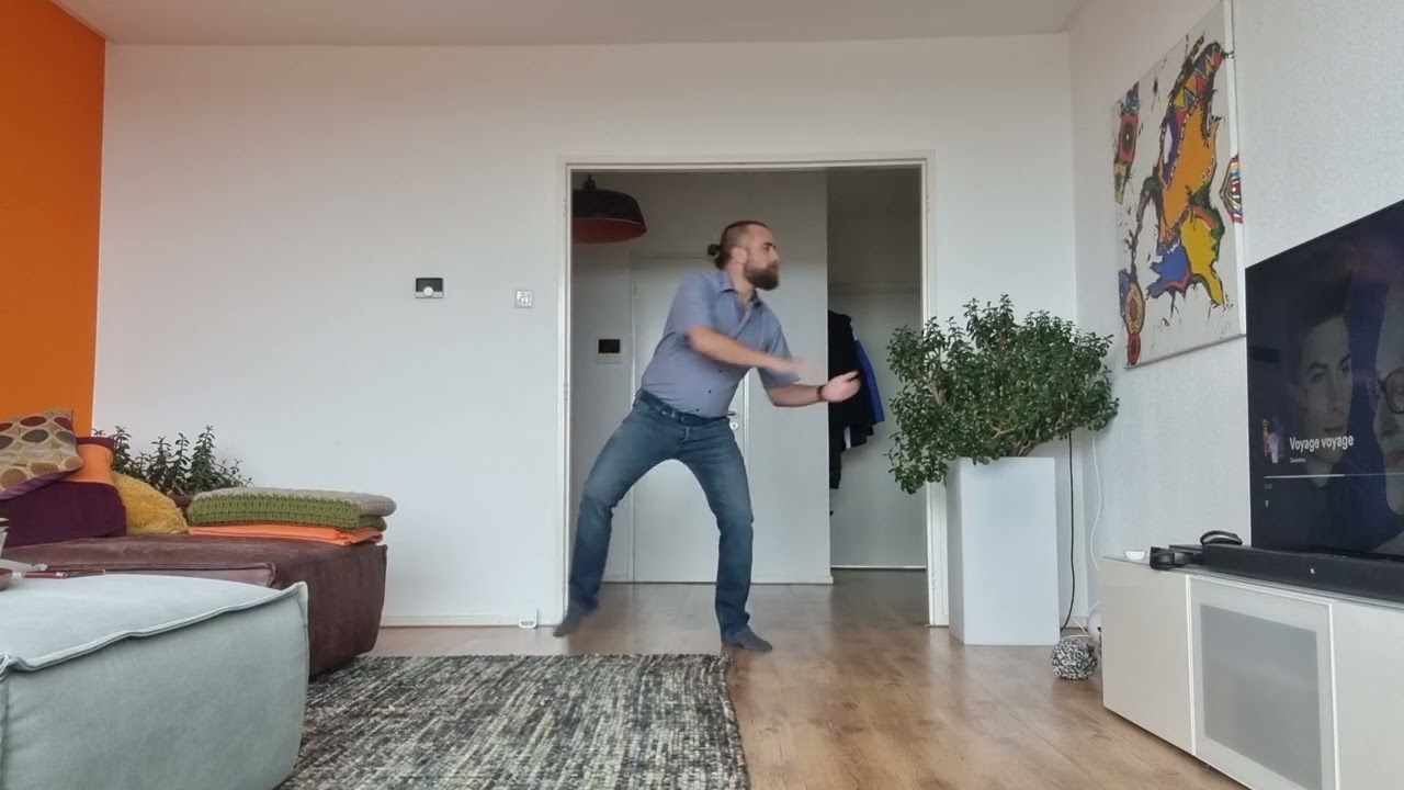 Desireless - Voyage, Voyage (Hold Party choreo)