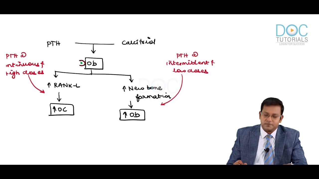 Drugs affecting calcium balance basics by Dr Nilesh raj | Pharmacology | DocTutorials