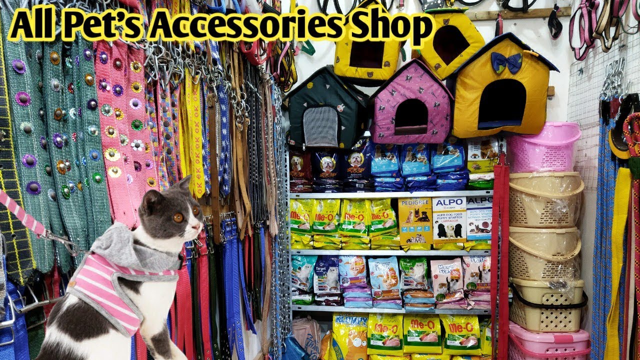 Dogs/Cat accessories Wholesale Shop in Saddar Birds Market Karachi ||pets accessories ||B4BIRDS