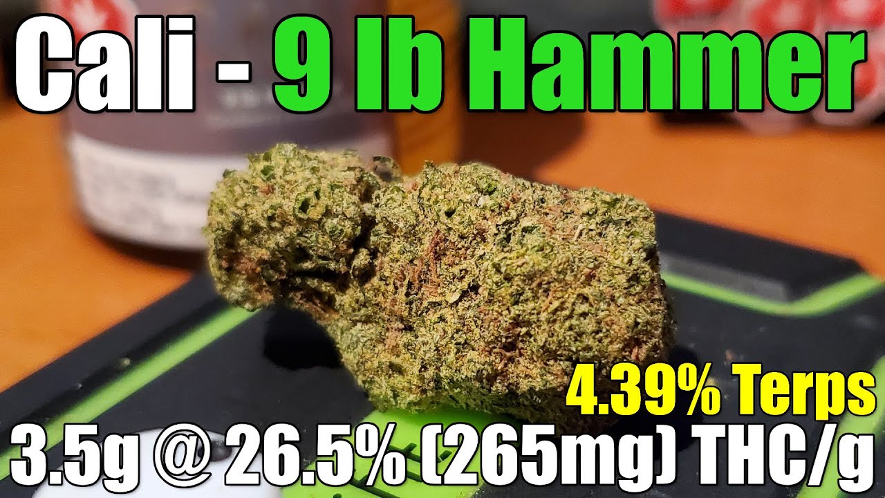 Cali - 9 Lb. Hammer - Unboxing Review - 3.5g @ 26.5% (265mg) THC/g | 4.39% Terps (+Extreme Closeups)