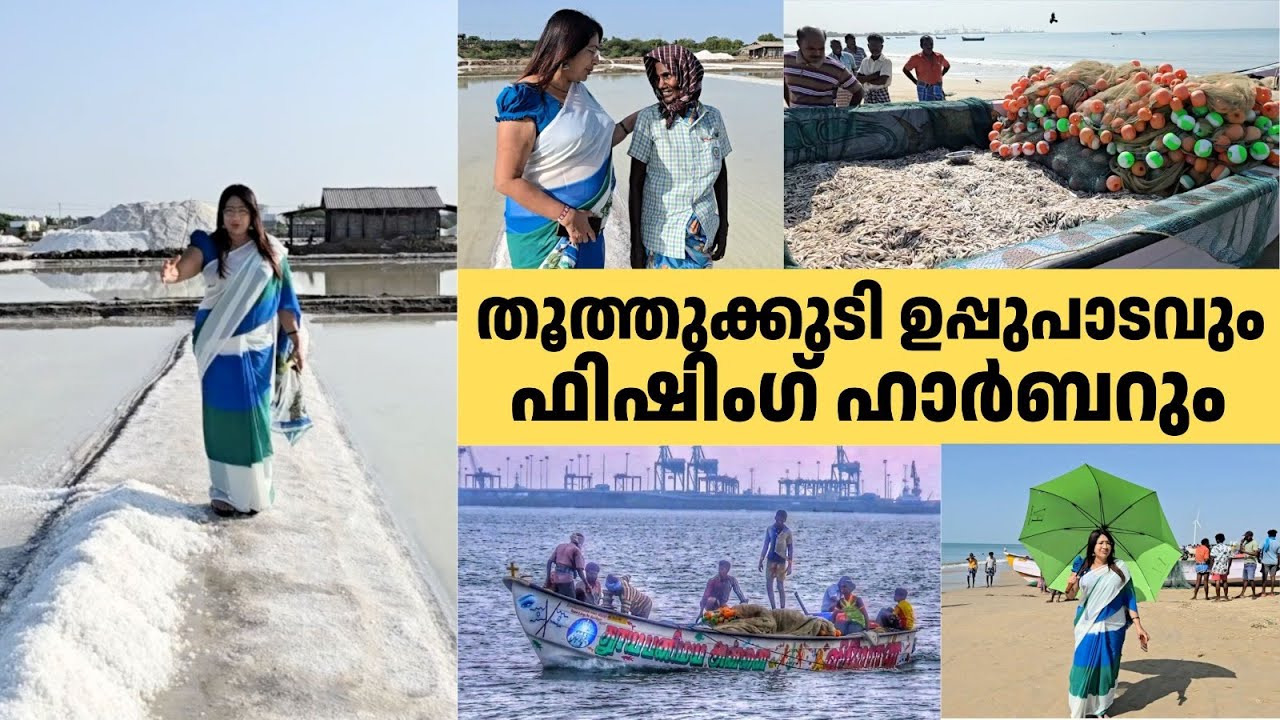 തൂത്തുക്കുടിയിലെ ഉപ്പുപാടങ്ങളും ഫിഷിംഗ് ഹാർബറും |Exploring Thoothukudi Salt Fields & Tamil Breakfast