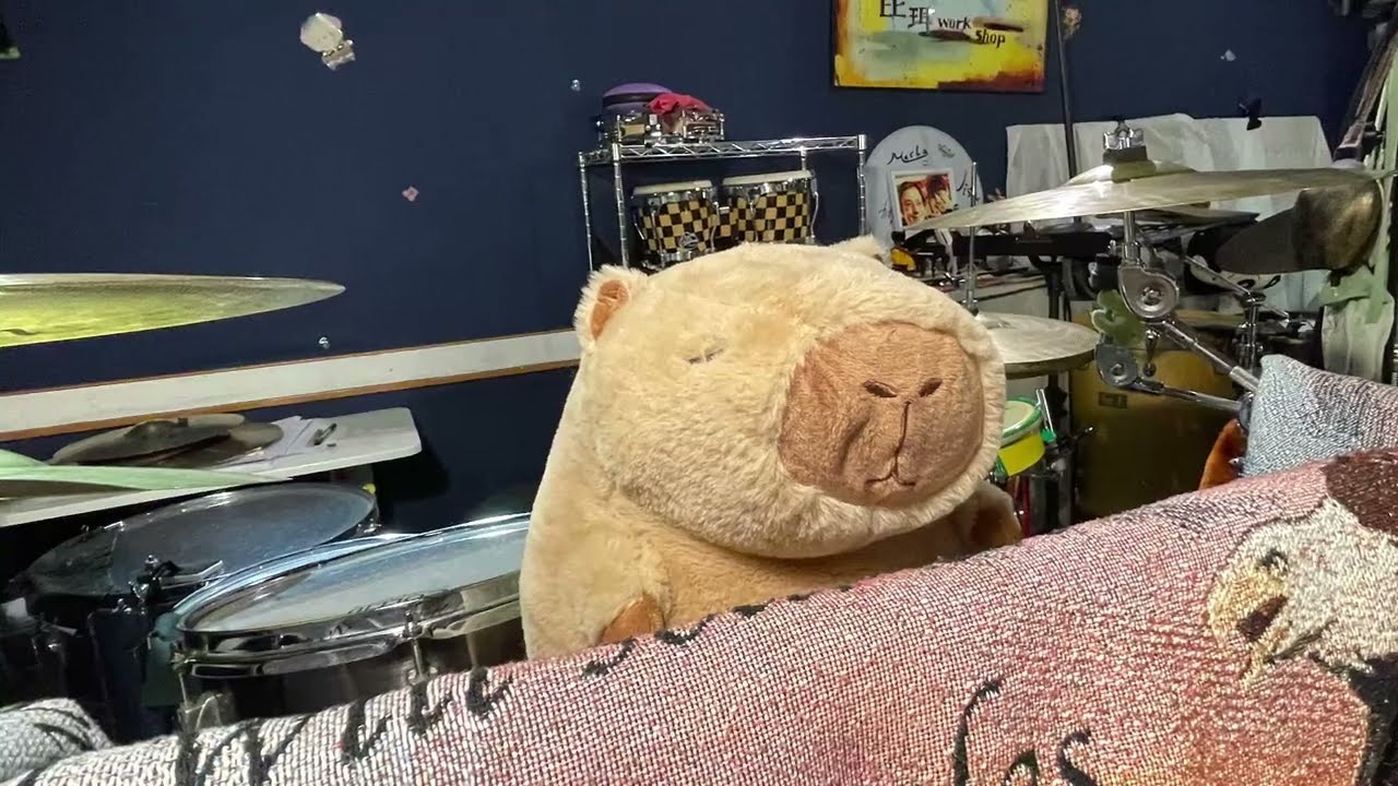 初階銅鈸音色DIY：Paiste 101 16”Crash Cymbals 