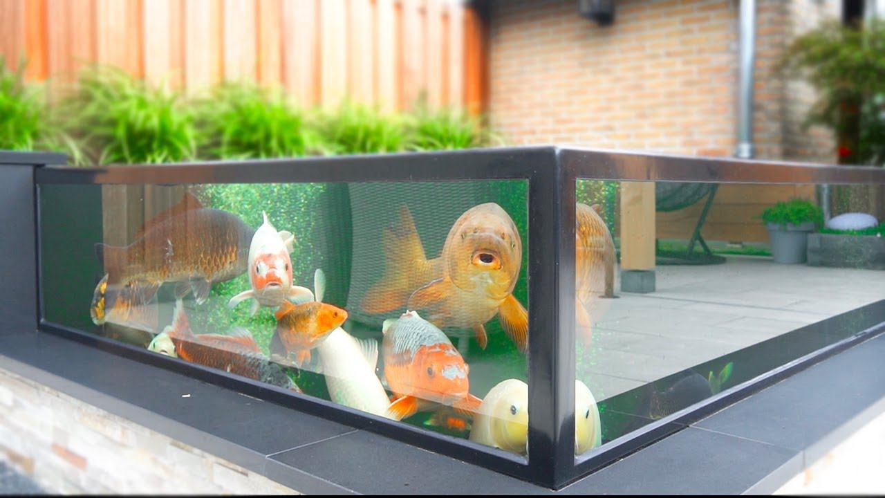 6000 Gallon Fish Pond **DIY BUILD**