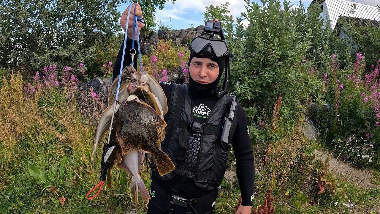 ОХОТА НА КАМБАЛУ НАЧАЛАСЬ