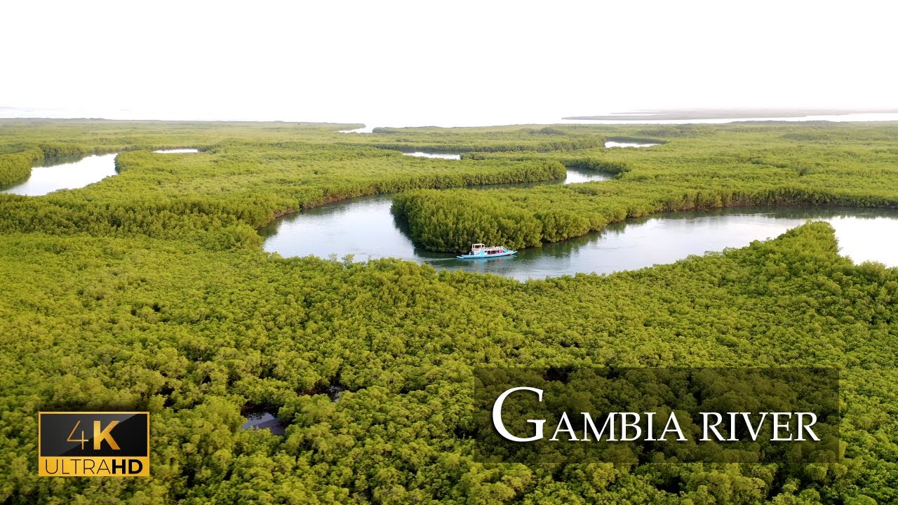 What is in The Gambia river?